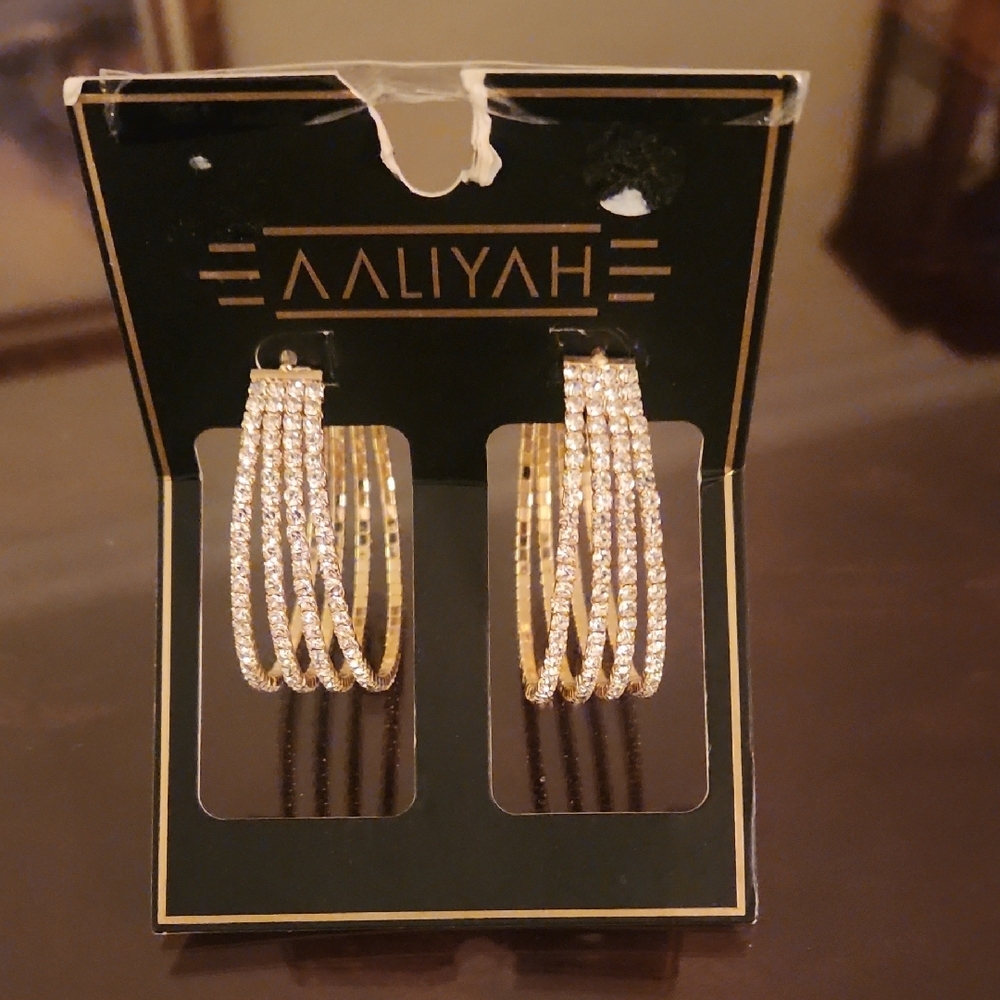 Gold and Silver Hoop Earrings